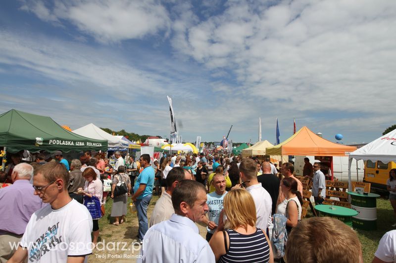Targi rolne w Szepietowie (27-28.06.2015)