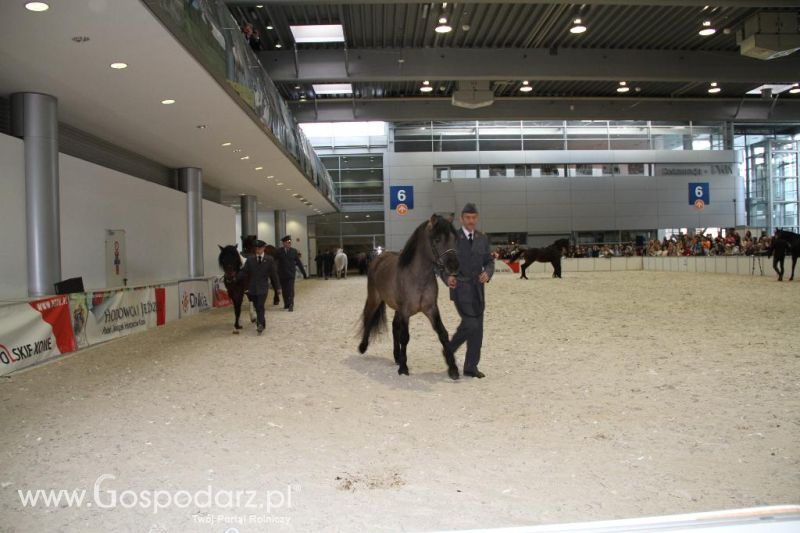 CAVALIADA 2013 w Poznaniu