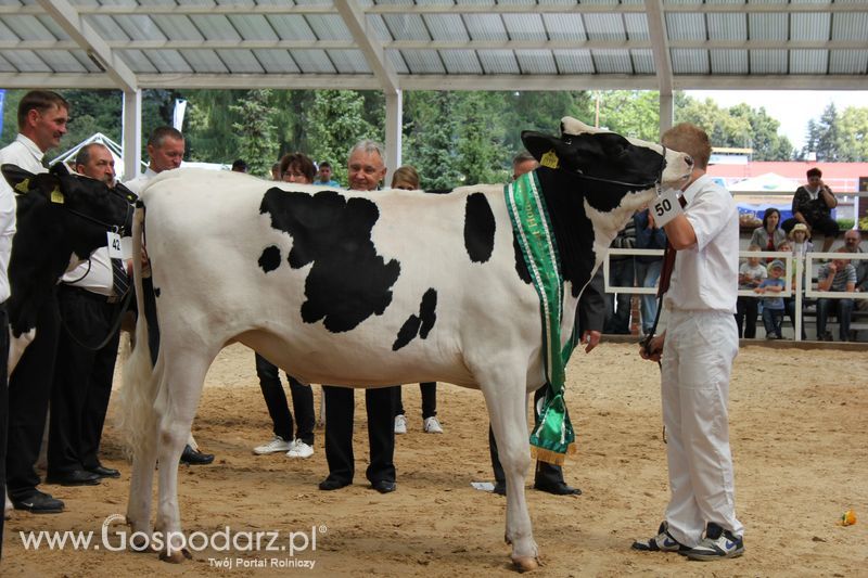Czempioni XVII Regionalnej Wystawy Zwierząt Hodowlanych Sielinko 2011