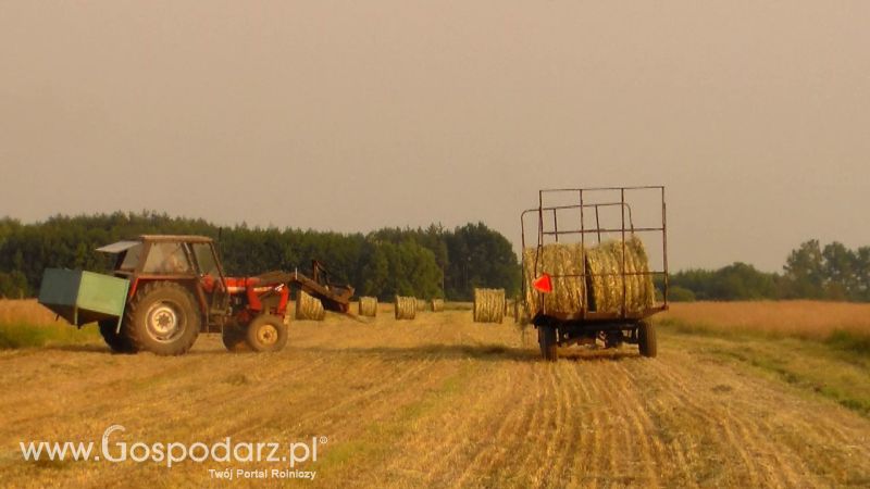 Zbiór Słomy 2013