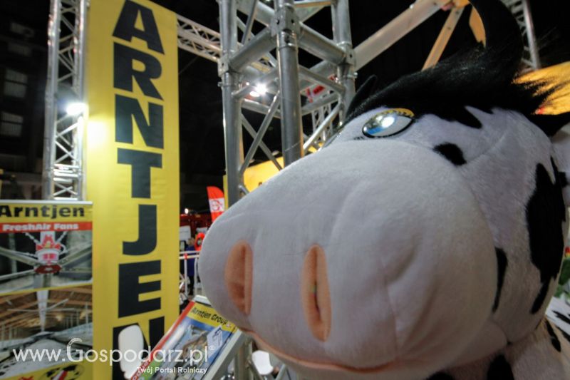 Ferma 2019 dzień 1