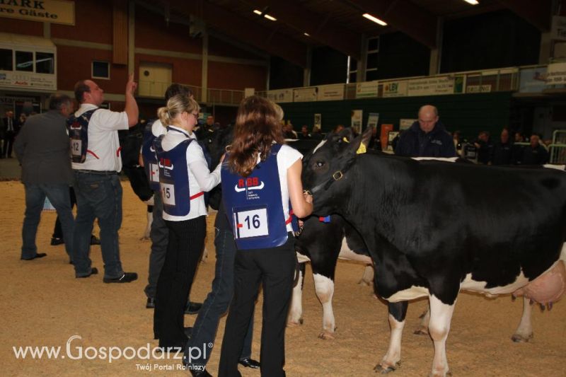 Wystawa  Blickpunkt Rind 2013 w miejscowości Paaren/Glien (Niemcy)
