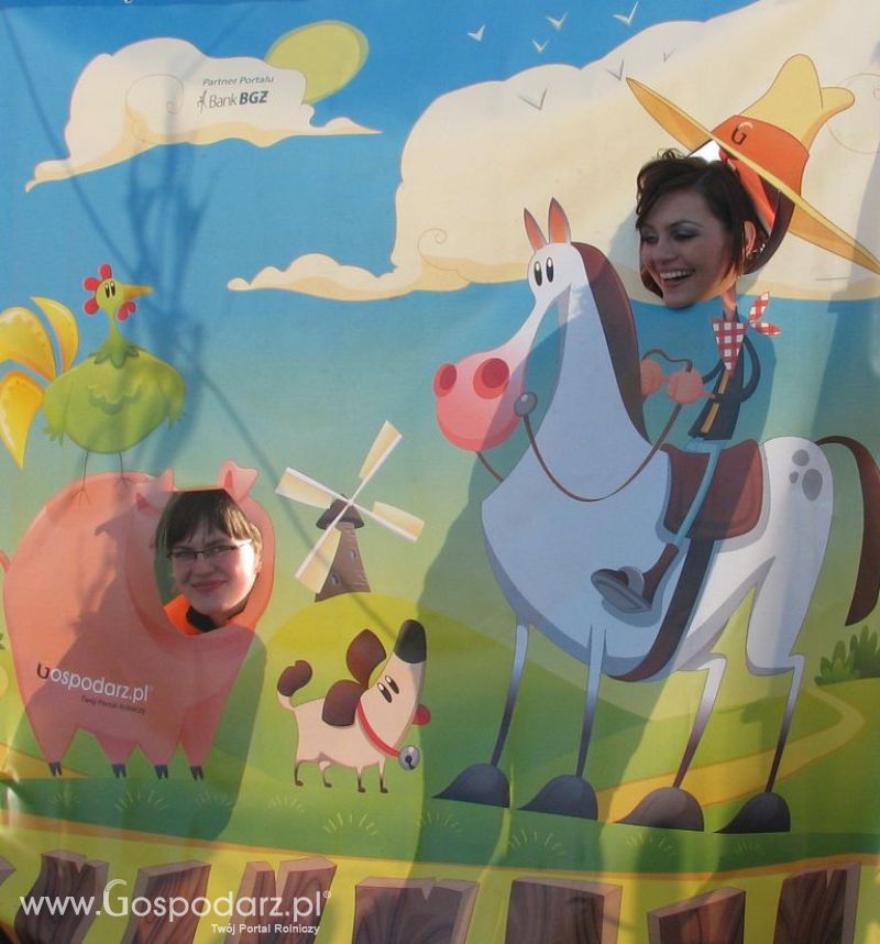 Zdjęcia ze świnką na Agro Show 2012 niedziela