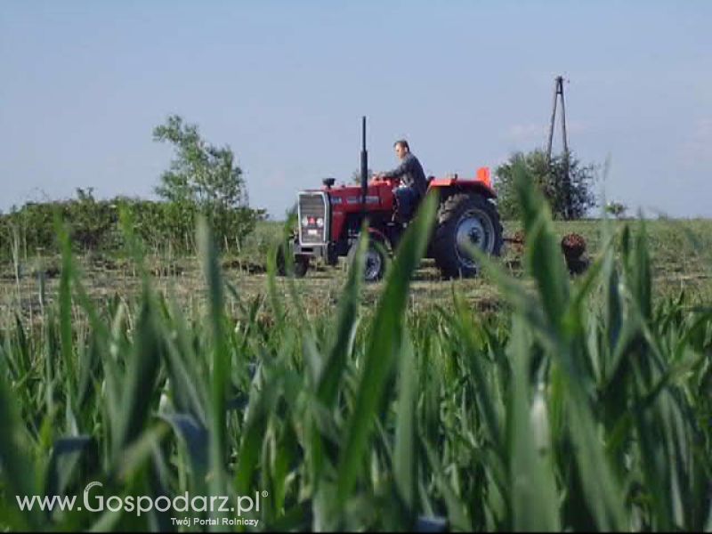 Sianokosy 2013