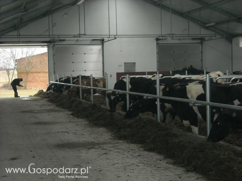 Dzień pracy rolnika-wizyta MrZgredy u MafiaOgiegooo