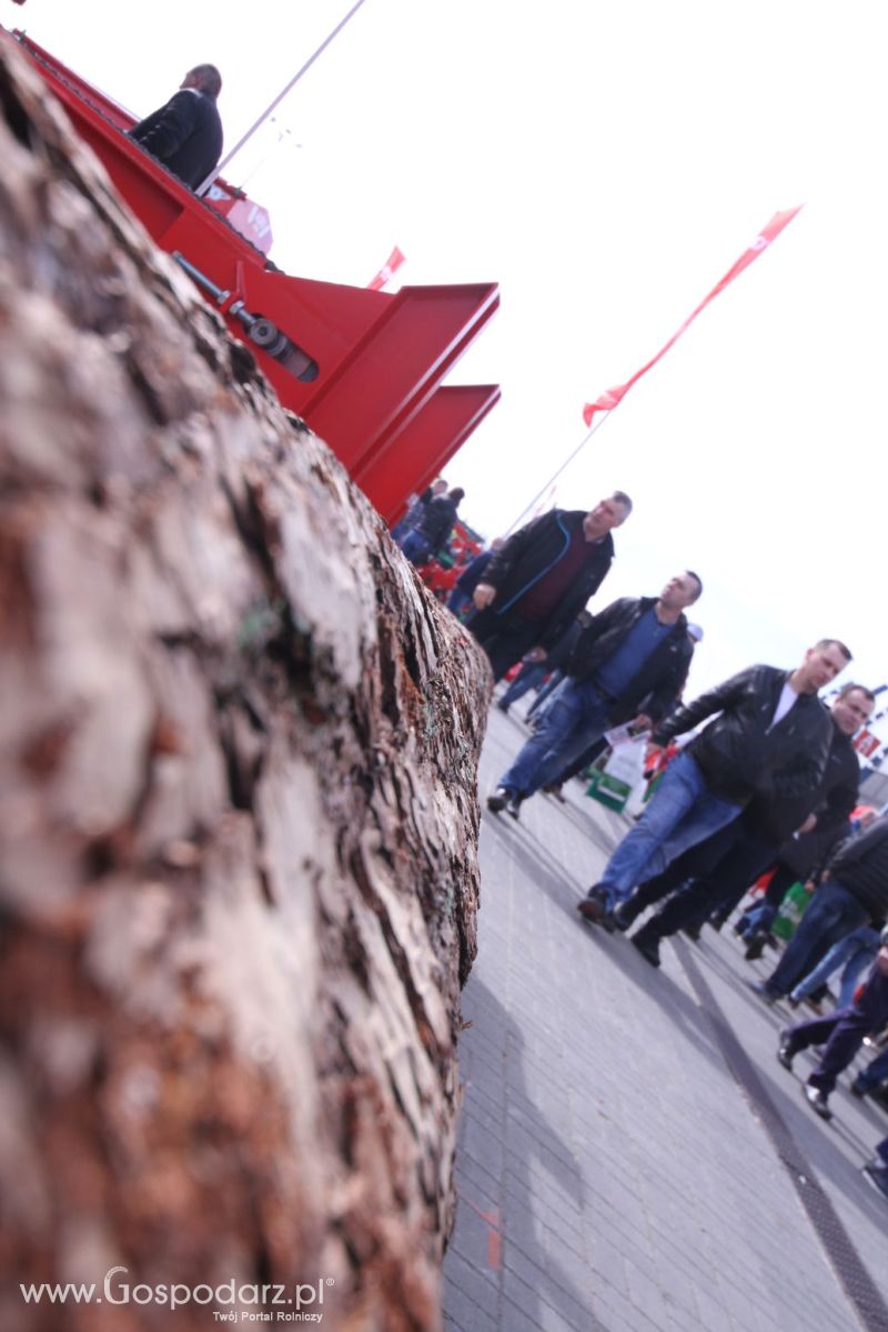 XXV AGROTECH Kielce 2019 dzień 3