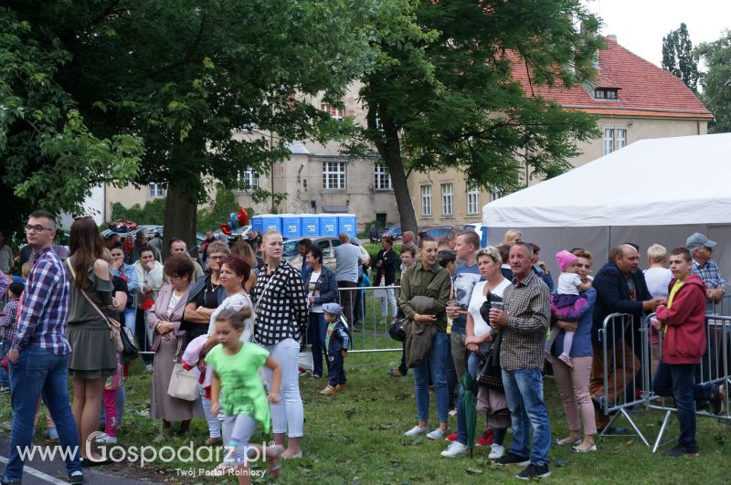 V Ogólnopolski Festiwal Wieprzowiny w Koźminie Wielkopolskim