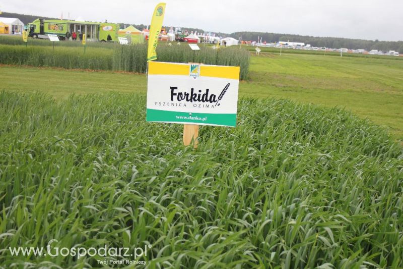 Polskie Zboża i Zielone Agro Show 2013