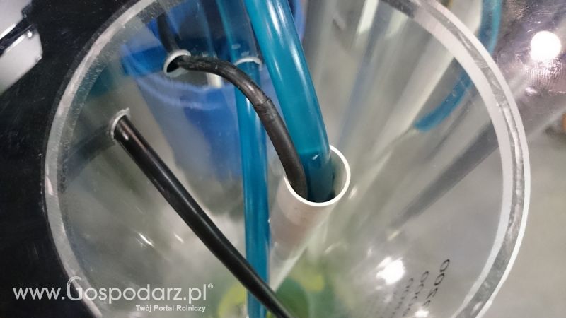 Rodzinny spacer na POLAGRA-PREMIERY 2016 w Poznaniu