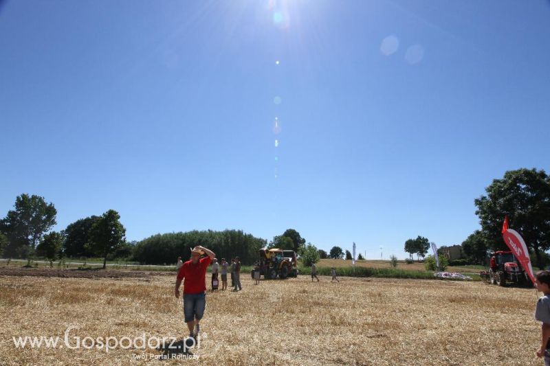 Zetor Family Tractor Show 2013 - Opatów