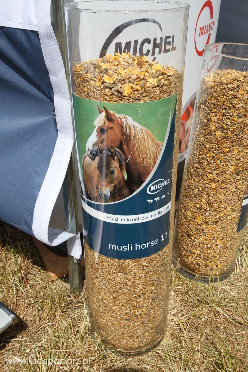 MICHEL PASZE na Zielonym AGRO SHOW - Polskie Zboża 2015 w Sielinku