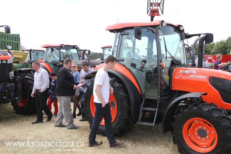 Zielone AGRO SHOW - Polskie Zboża 2015 w Sielinku