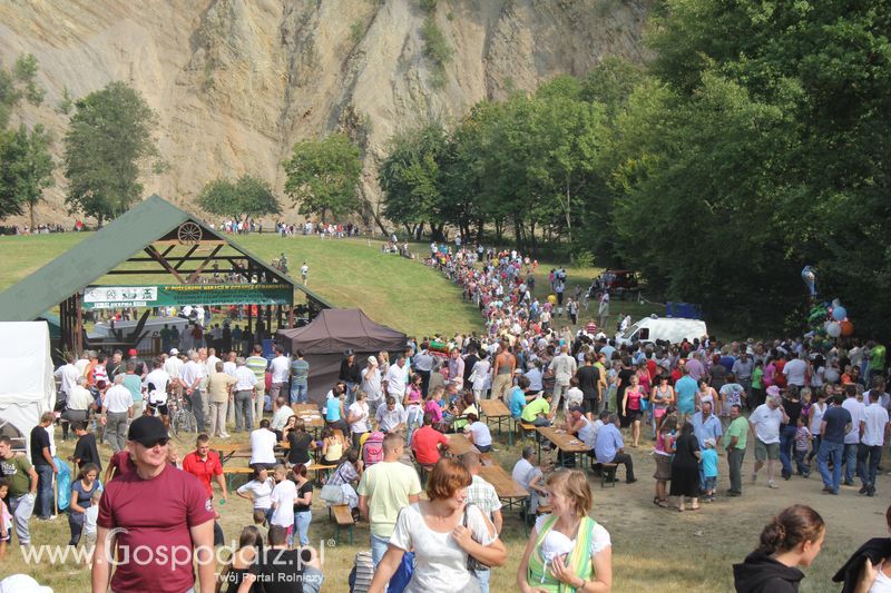 Pokazy konnych sikawek strażackich w Rudawce Rymanowskiej