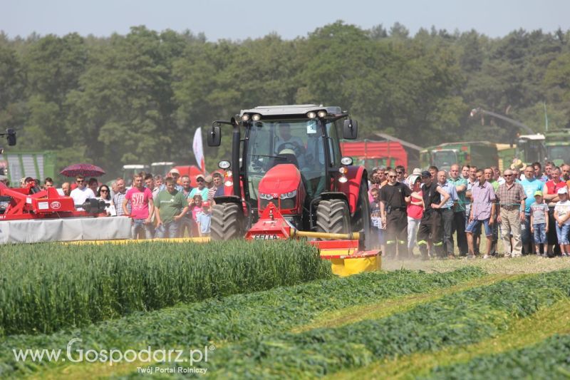 Zielone AGRO SHOW – POLSKIE ZBOŻA 2014 w Sielinku - niedziela