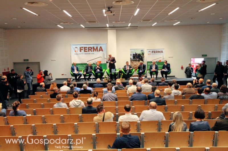 Ferma 2019 dzień 1