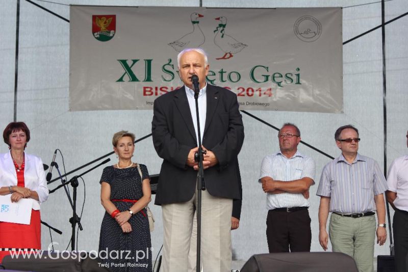 XI Święto Gęsi w Biskupcu