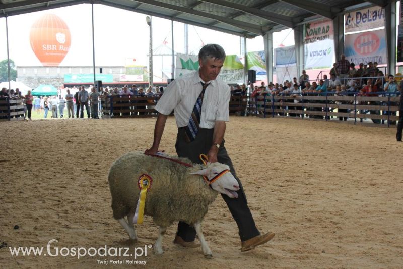 Regionalna Wystawa Zwierząt Hodowlanych i Dni z Doradztwem Rolniczym w Szepietowie-niedziela