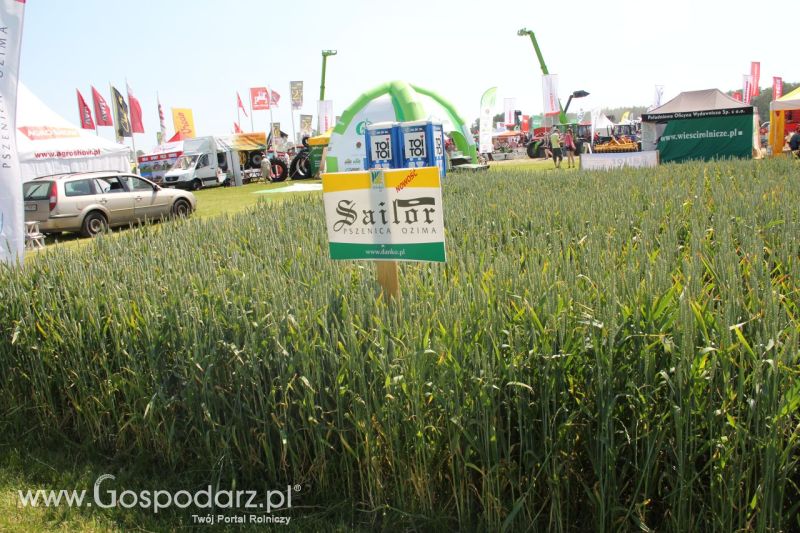 Zielone AGRO SHOW – POLSKIE ZBOŻA 2014 w Sielinku - niedziela