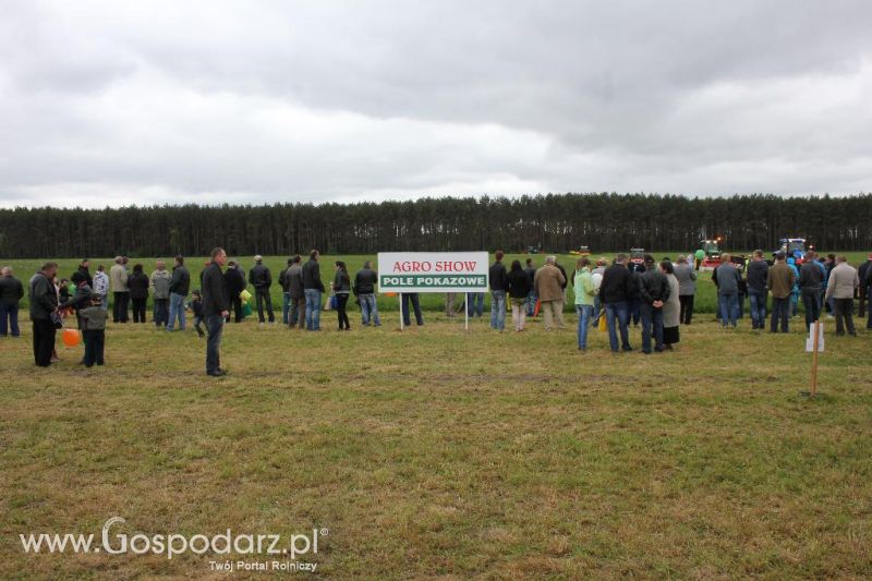 Polskie Zboża i Zielone Agro Show 2013