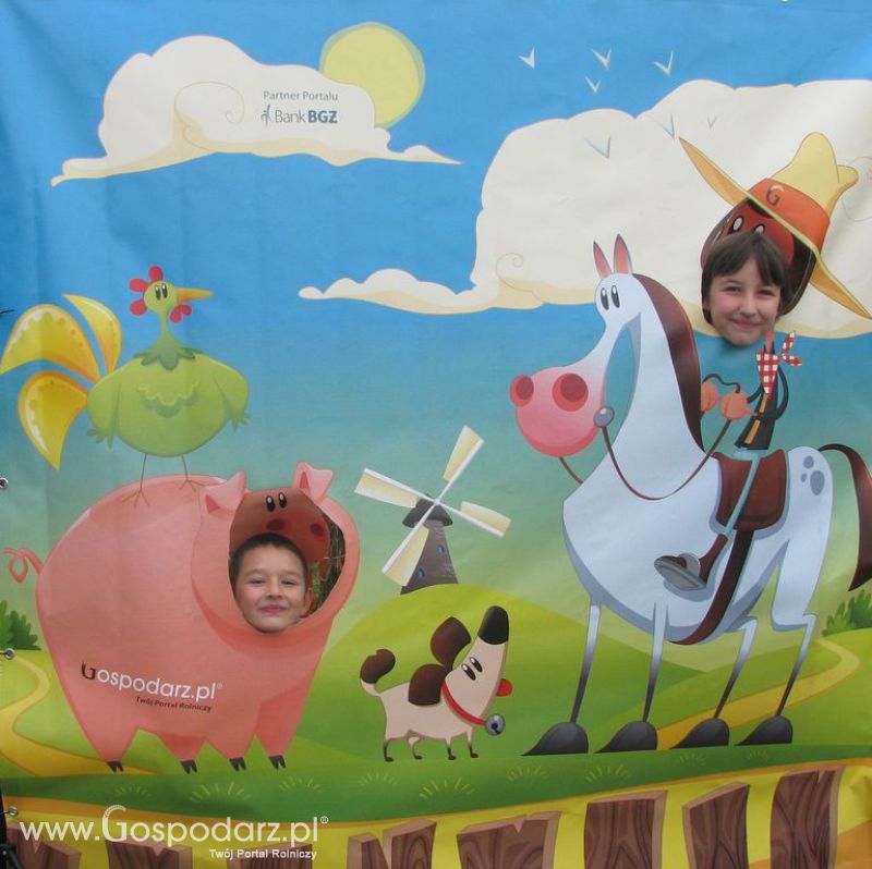 Zdjęcia ze świnką na Agro Show 2012 sobota