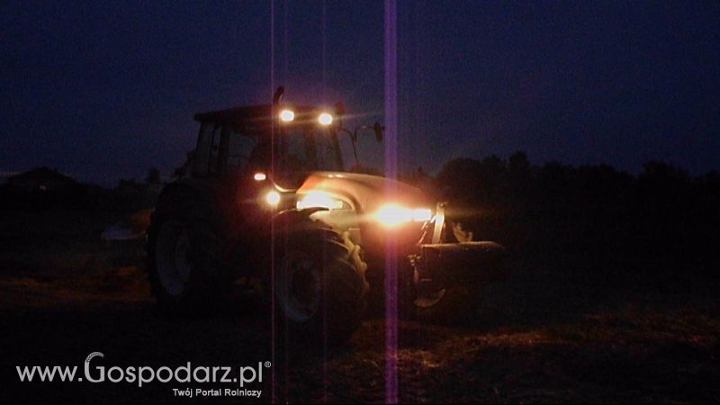 Orka 2013