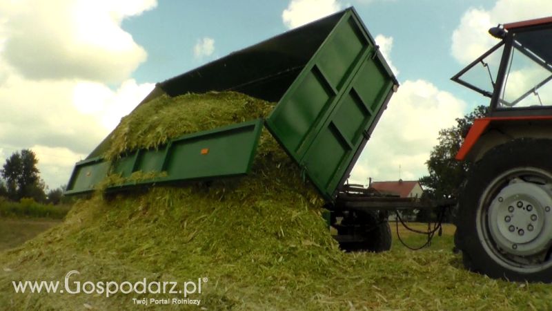 Kiszonka 2013