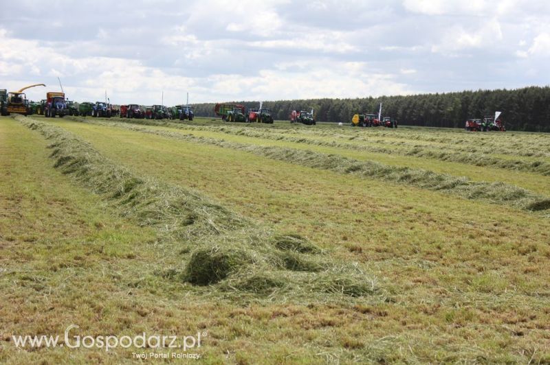 Pokazy maszyn Polskie Zboża Zielone Agro Show 2012
