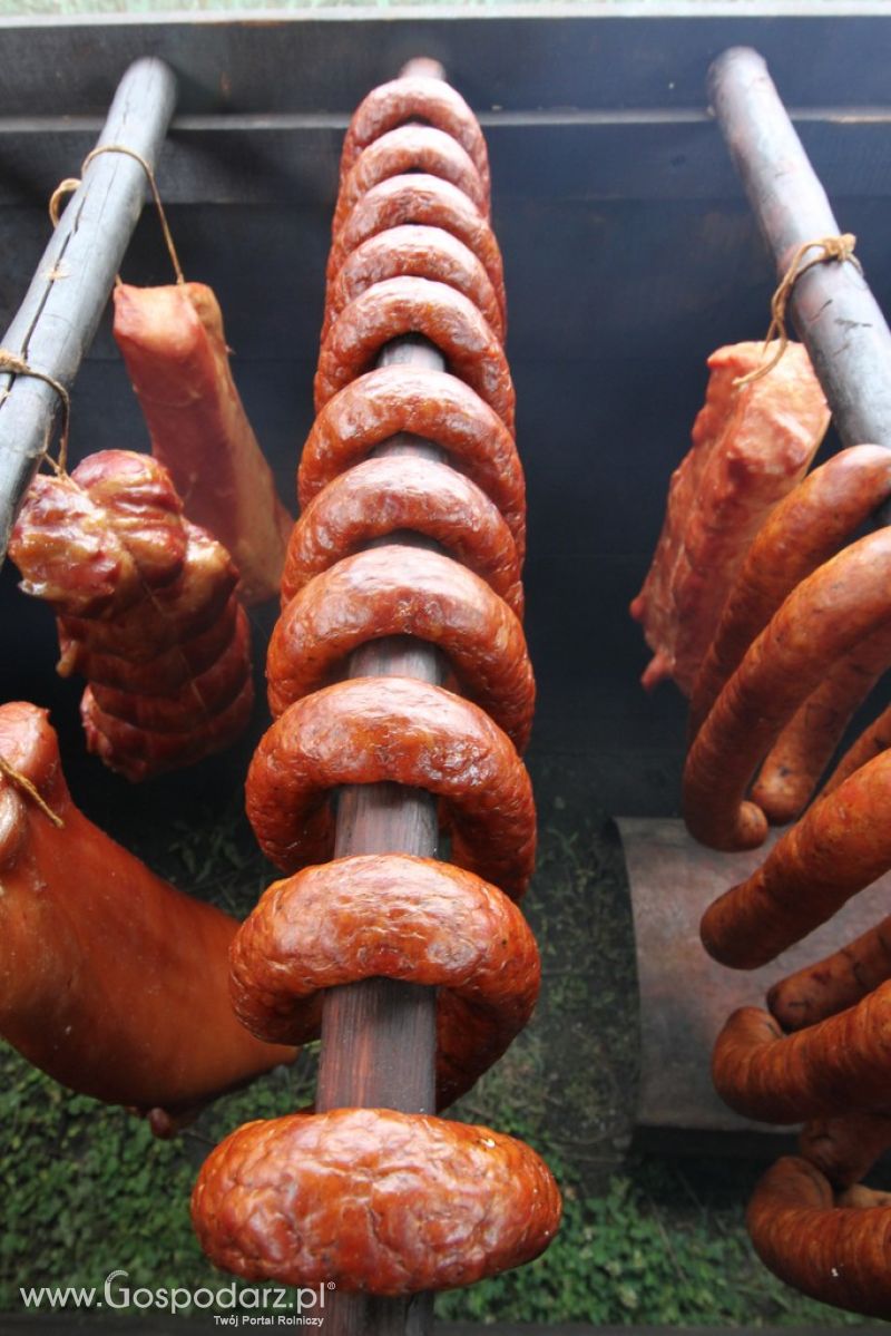 Festiwal Wieprzowiny w Bełżycach - niedziela