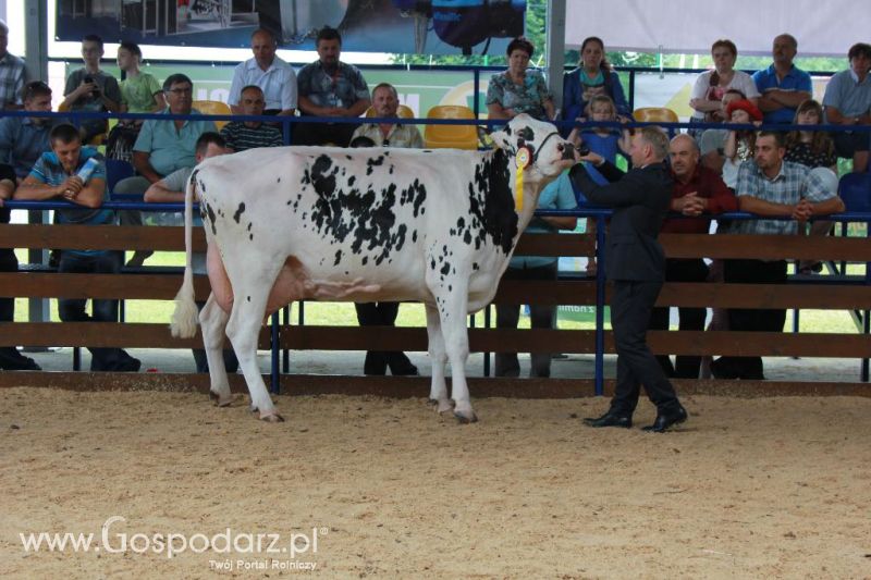 Regionalna Wystawa Zwierząt Hodowlanych i Dni z Doradztwem Rolniczym w Szepietowie-niedziela