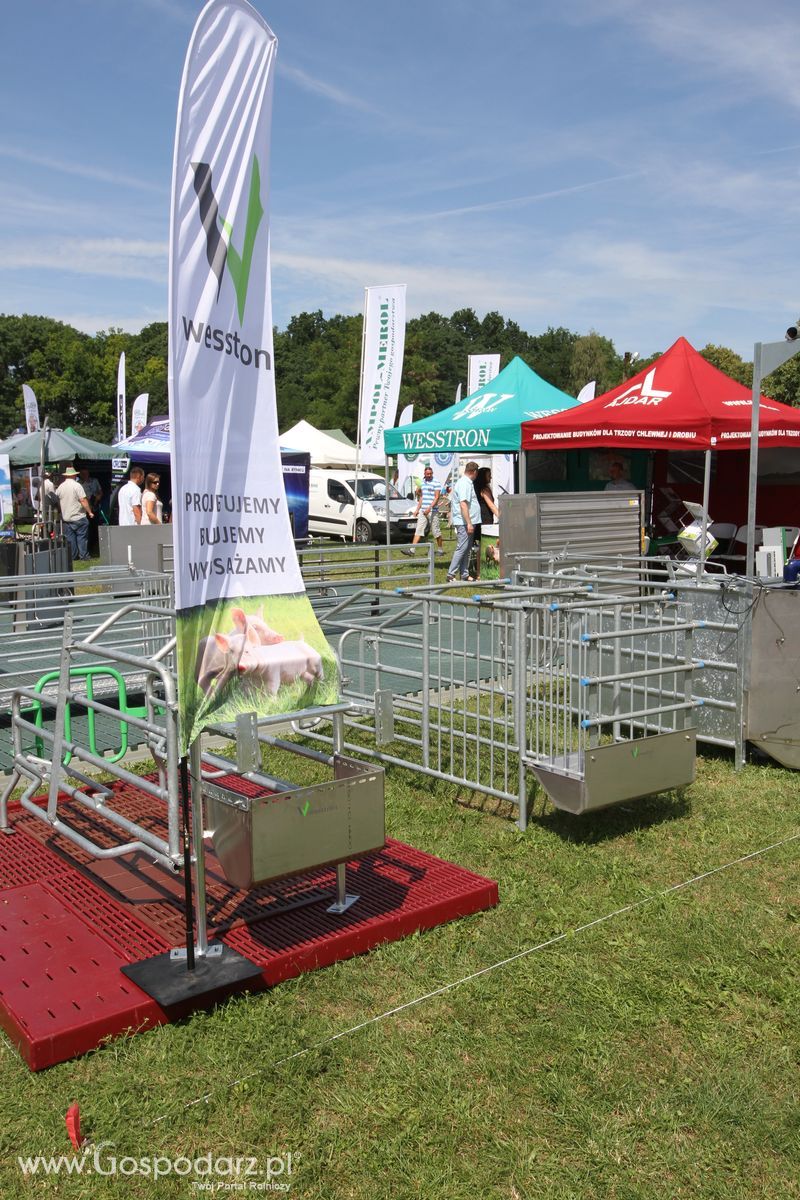 Wesstron na Agro-Tech w Minikowie 2016