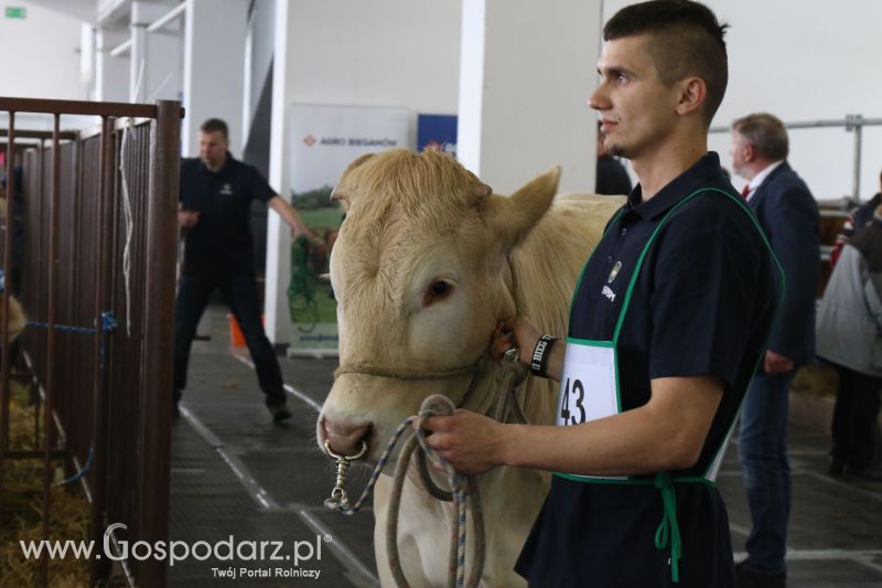 Krajowa Wystawa Zwierząt Hodowlanych w Poznaniu 2017 (piątek, 5 maja)