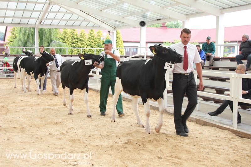 Wystawa bydła Sielinko 2011