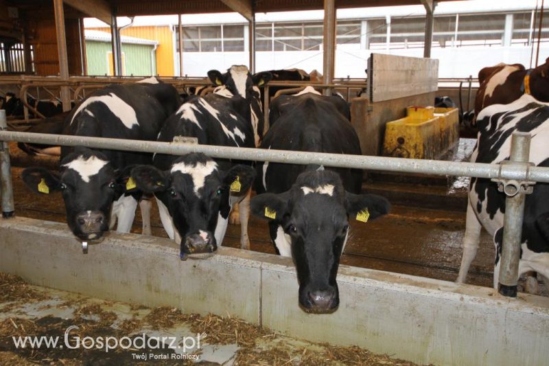 Wyjazd studyjny na farmę Langengrassau w Niemczech