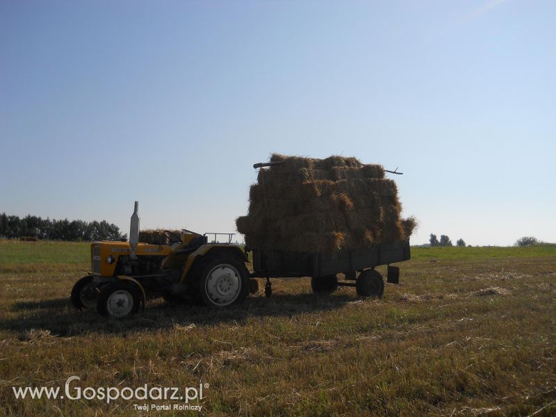 Piotrek9095,Żniwa 2012