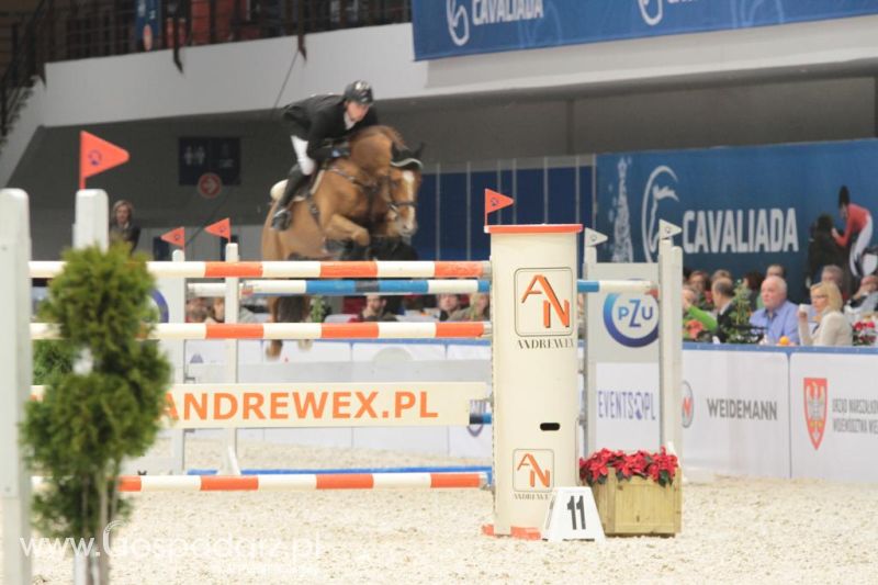 CAVALIADA 2013 w Poznaniu