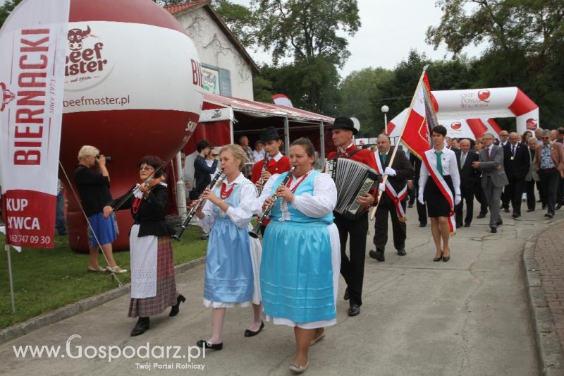 I Krajowa Wystawa Bydła Mięsnego w Sielinku - sobota