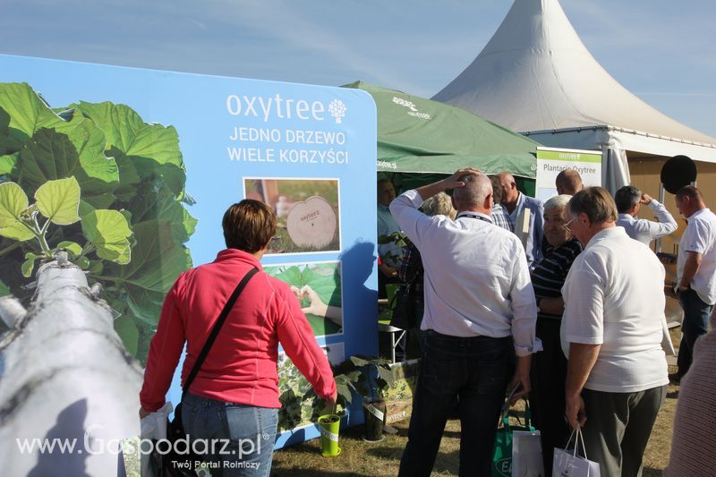 AGRO SHOW Bednary 2016 - Niedziela