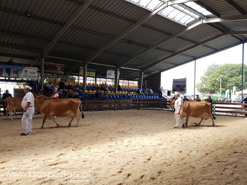 XXIV Regionalna Wystawa Zwierząt Hodowlanych – Szepietowo 2018