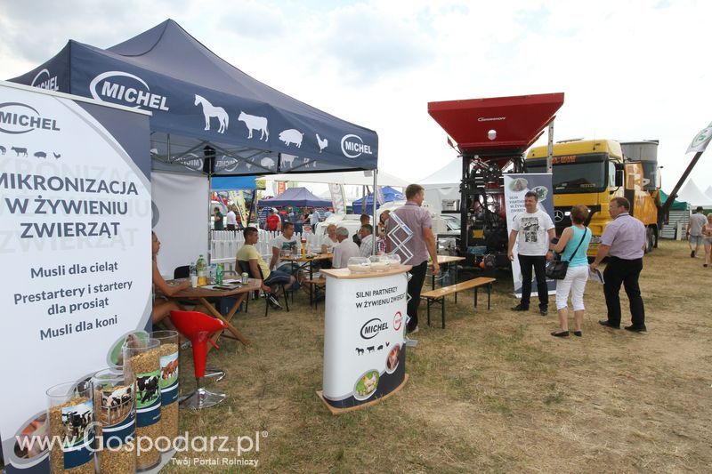 OPOLAGRA 2015 w Kamieniu Śląskim