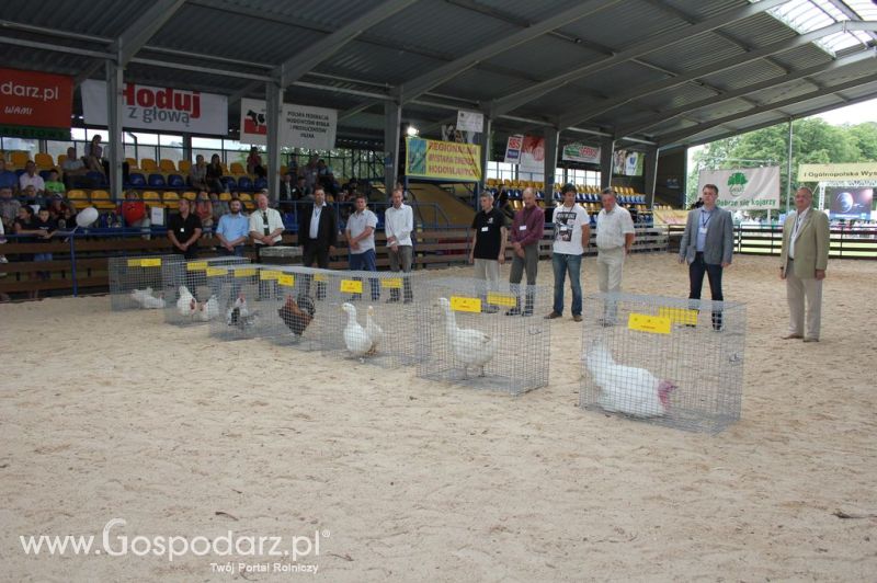 Drób - Szepietowo 2012 XIX Regionalna Wystawa Zwierząt Hodowlanych