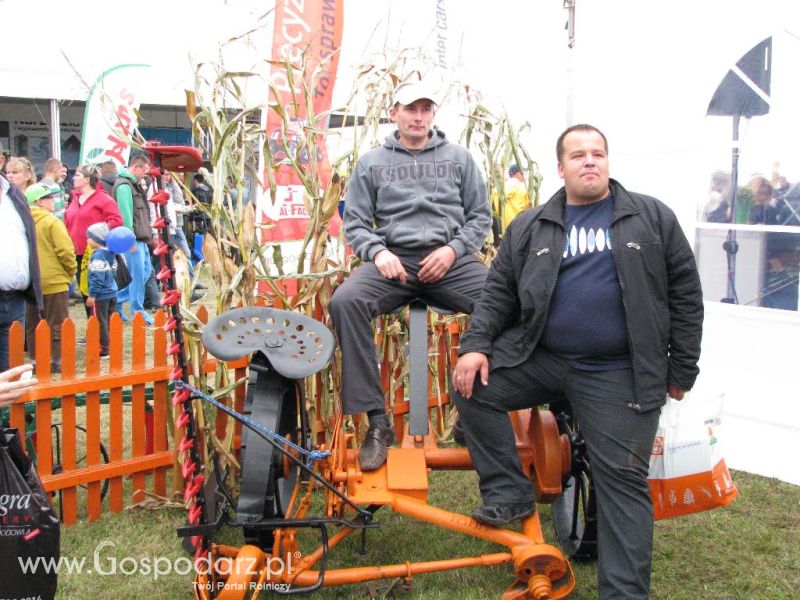 Agro Show 2013 Bednary Zdjęcie z krówką