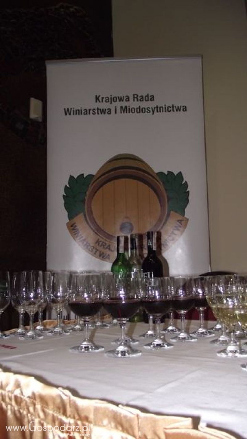 Wybór wójta roku 2011