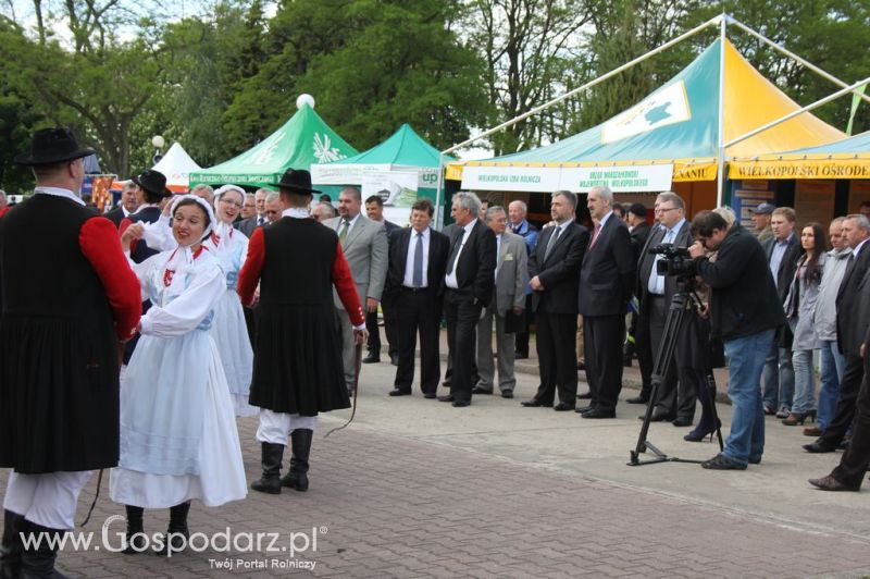 Otwarcie VII Ogólnopolskiej Wystawy Bydła Hodowlanego - Sielinko 2012