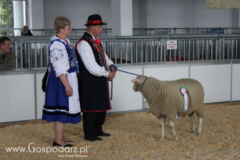 XXVI Krajowa Wystawa Zwierząt Hodowlanych - sobota i niedziela