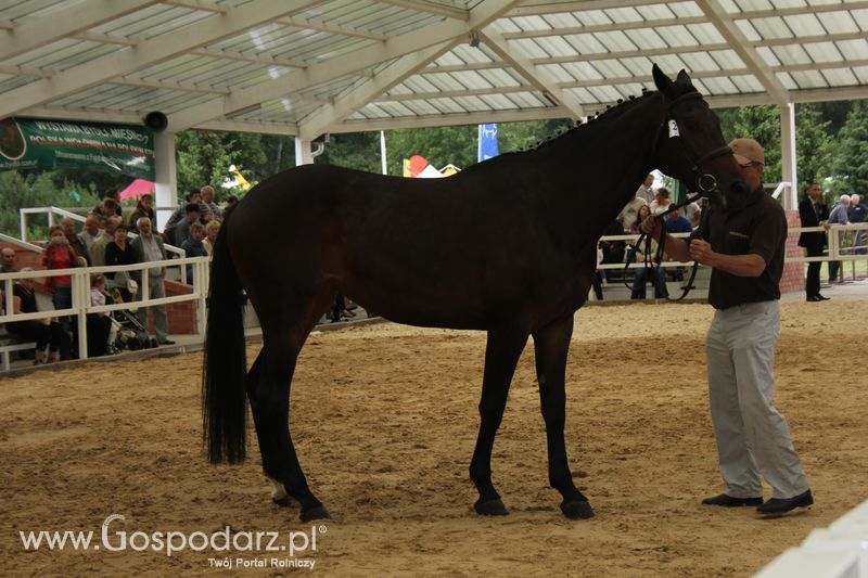 Czempioni XVII Regionalnej Wystawy Zwierząt Hodowlanych Sielinko 2011