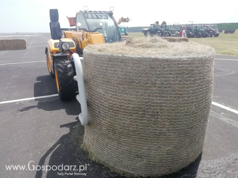 Turniej Precyzyjny Gospodarz Opolaga 2019 Sobota