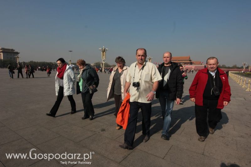 Gospodarz.pl w Chinach