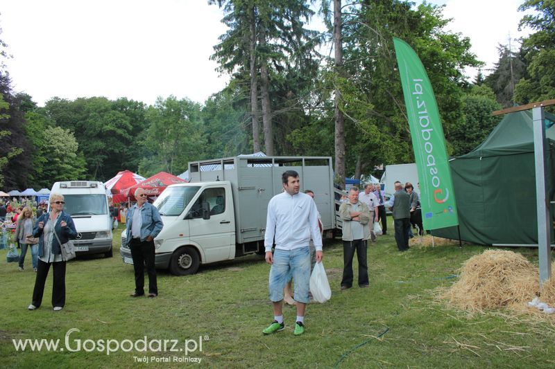 XX Targi Rolnicze Lubniewice 