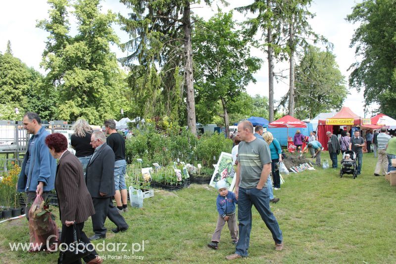 XX Targi Rolnicze Lubniewice 