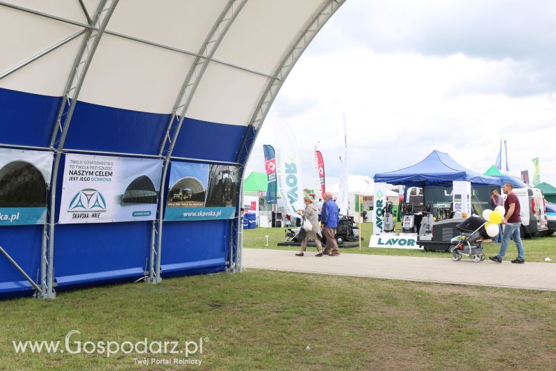 Skavska Hale na AGRO-TECH Minikowo 2017